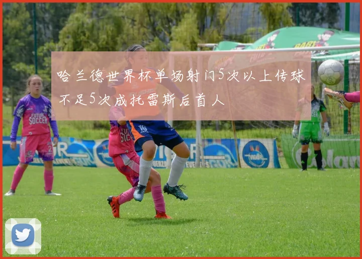 哈兰德世界杯单场射门5次以上传球不足5次成托雷斯后首人