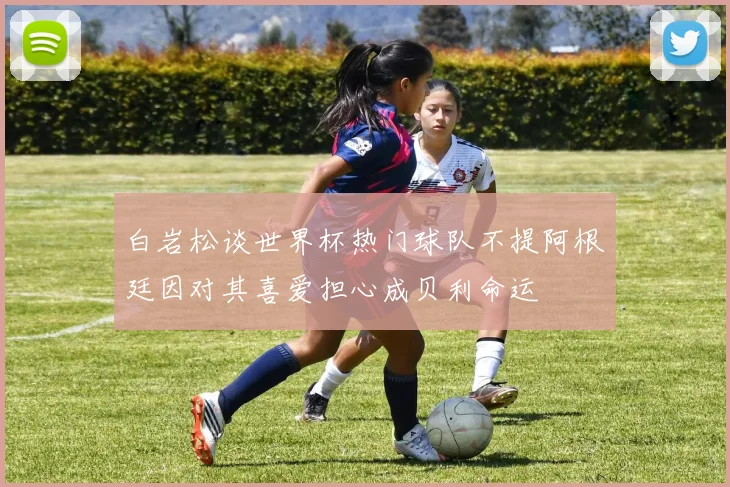 白岩松谈世界杯热门球队不提阿根廷因对其喜爱担心成贝利命运