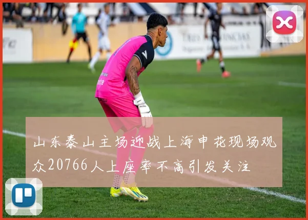 山东泰山主场迎战上海申花现场观众20766人上座率不高引发关注