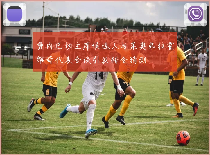 费内巴切主席候选人与莱奥弗拉霍维奇代表会谈引发转会猜测